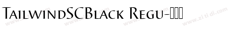 TailwindSCBlack Regu字体转换